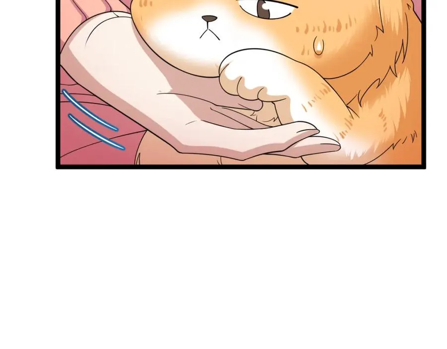 25039
