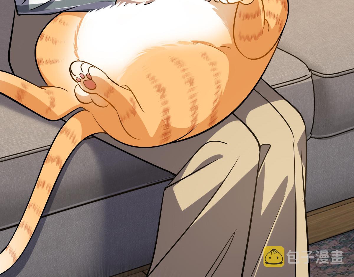 36126
