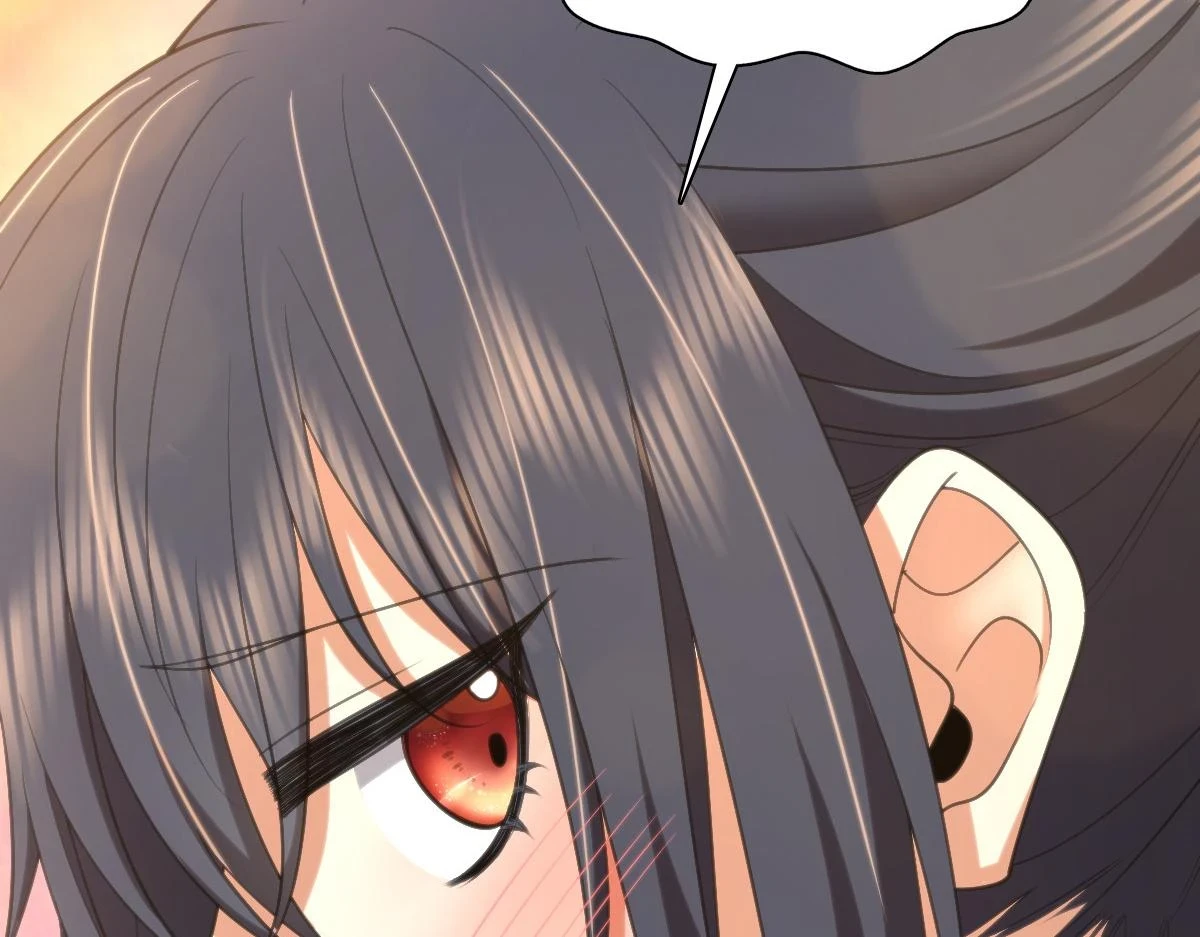 13711