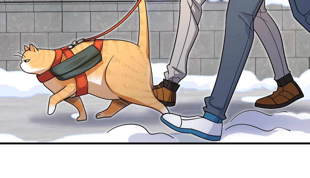 7216