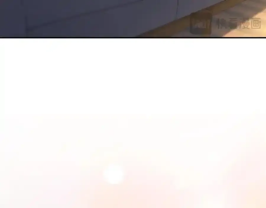 23817