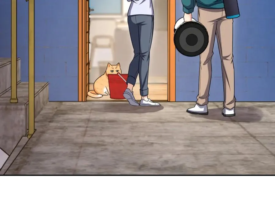 24066