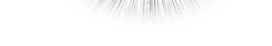 23061