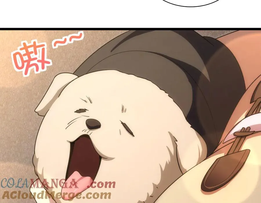 27064