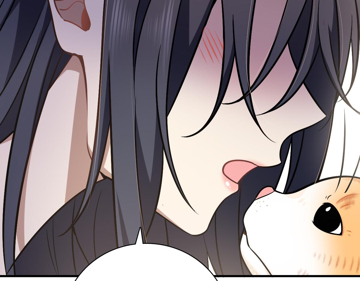36121
