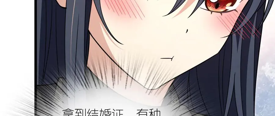 26293