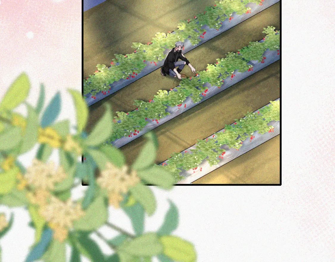 第38话 校花56