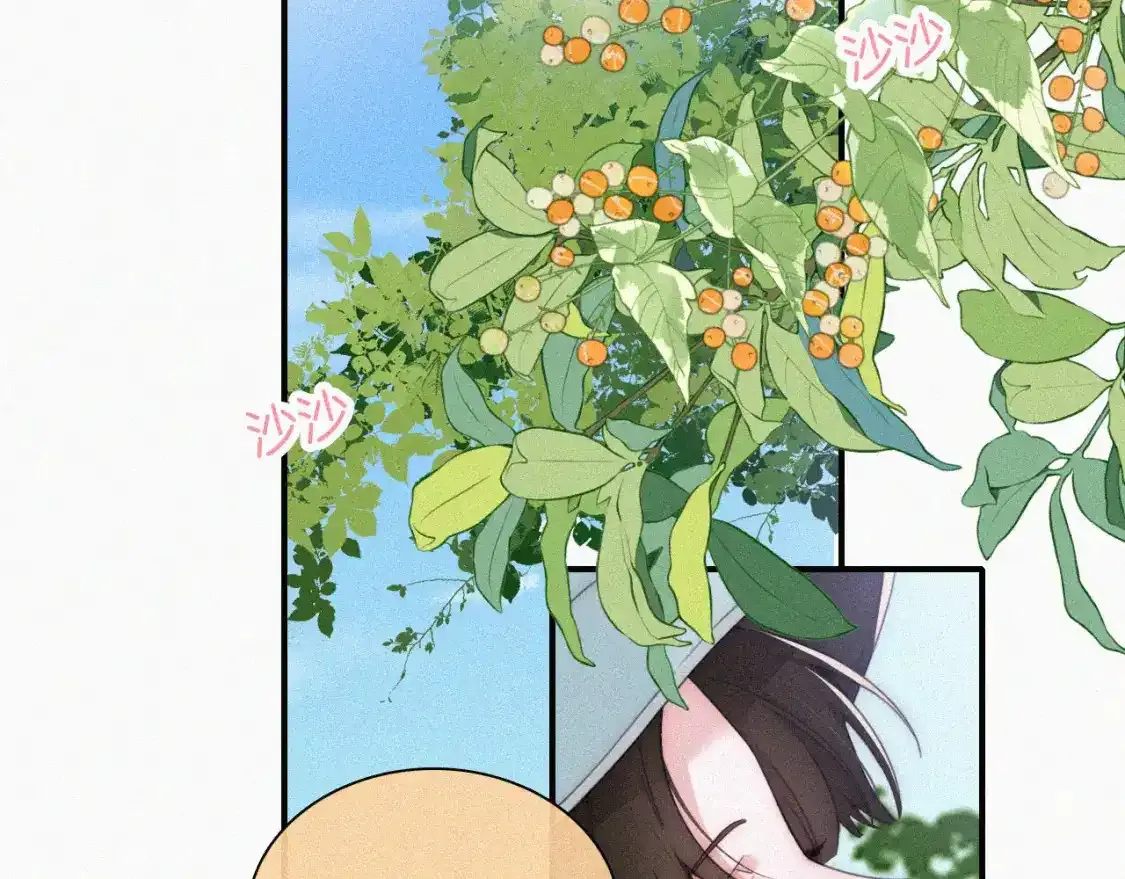第39话 爬山48