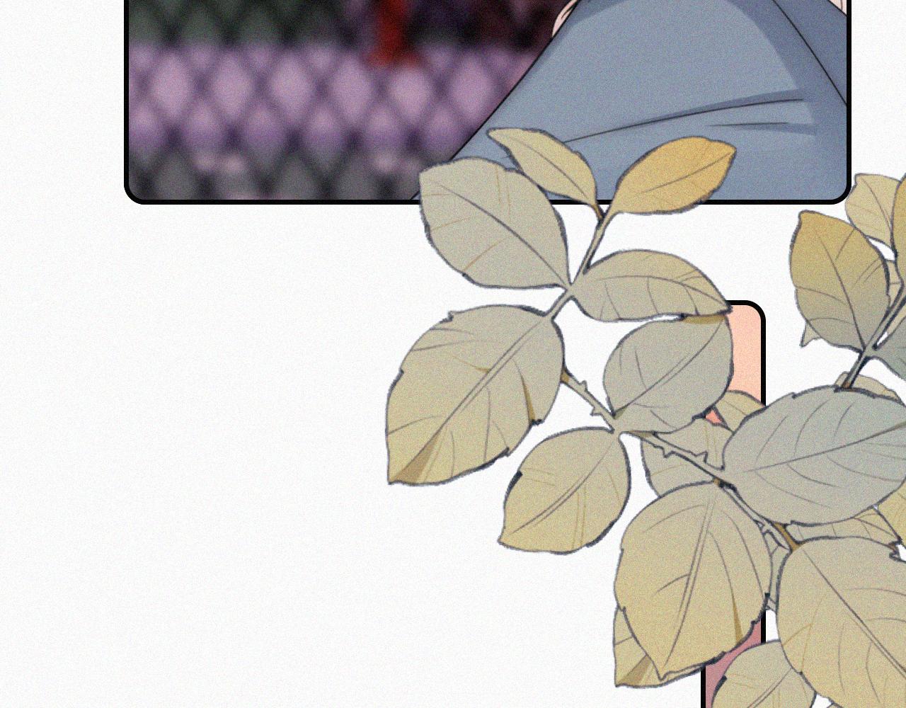 第14话 不会早恋的94