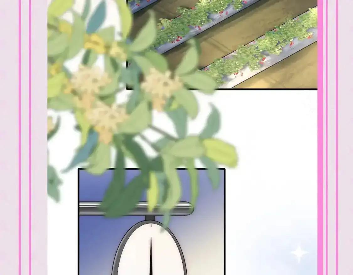 第24期 搞点事：江忍的宠妻法则7