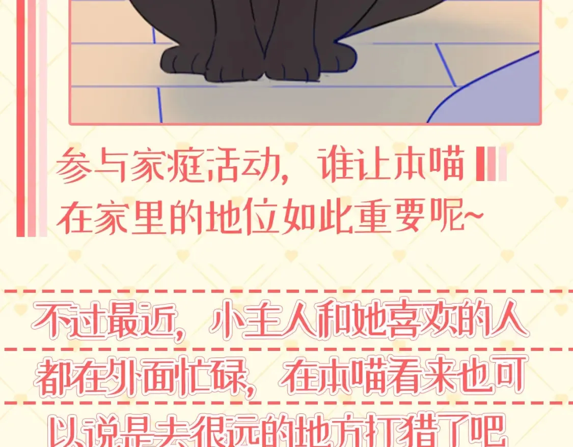 第40期 特别企划：猫猫仙贝的悠闲生活11