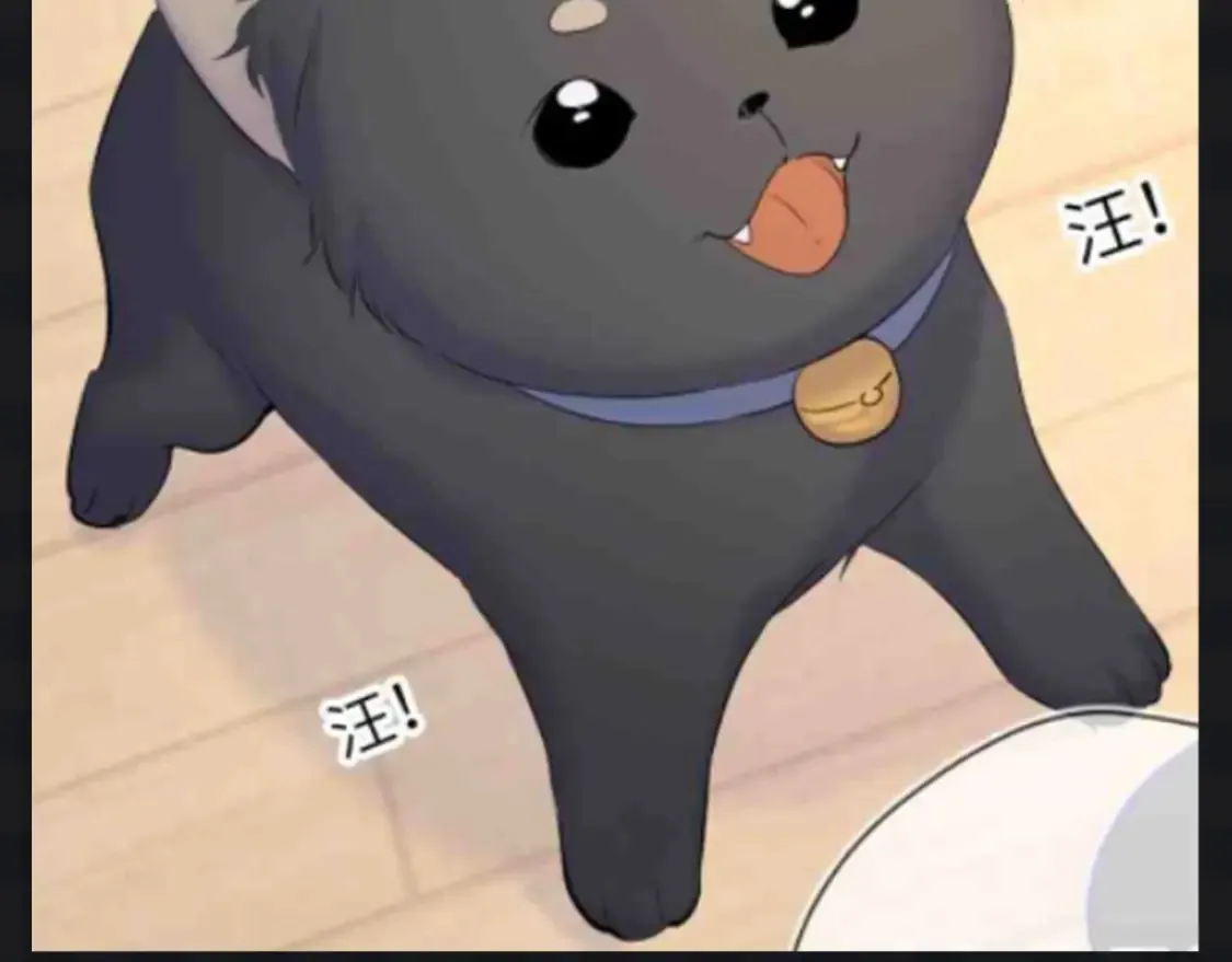 第142期 搞点事：来看看司南购物车里的东西吧7