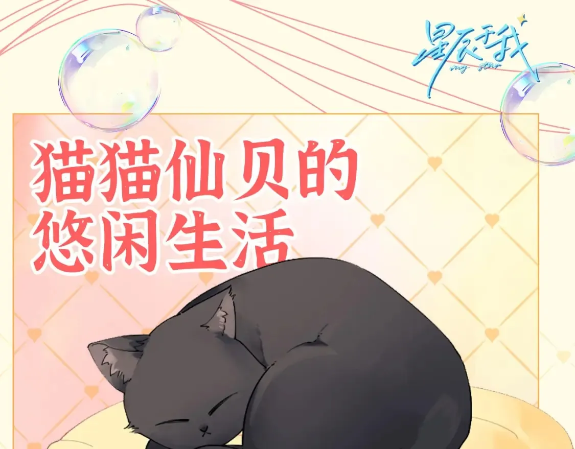 第40期 特别企划：猫猫仙贝的悠闲生活0
