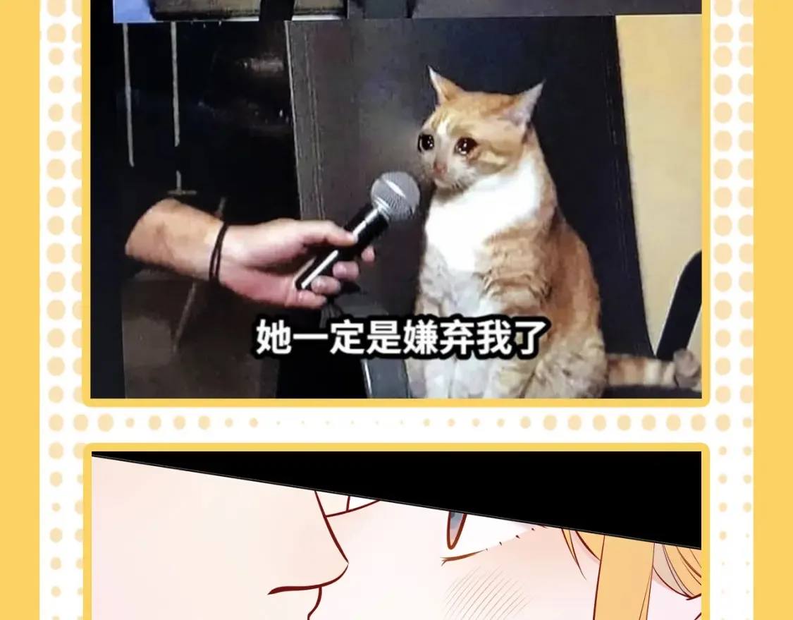第38期 特别企划：一波梗图来袭！12