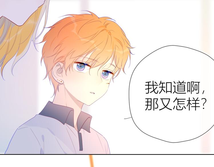 第52话 我们的森林18