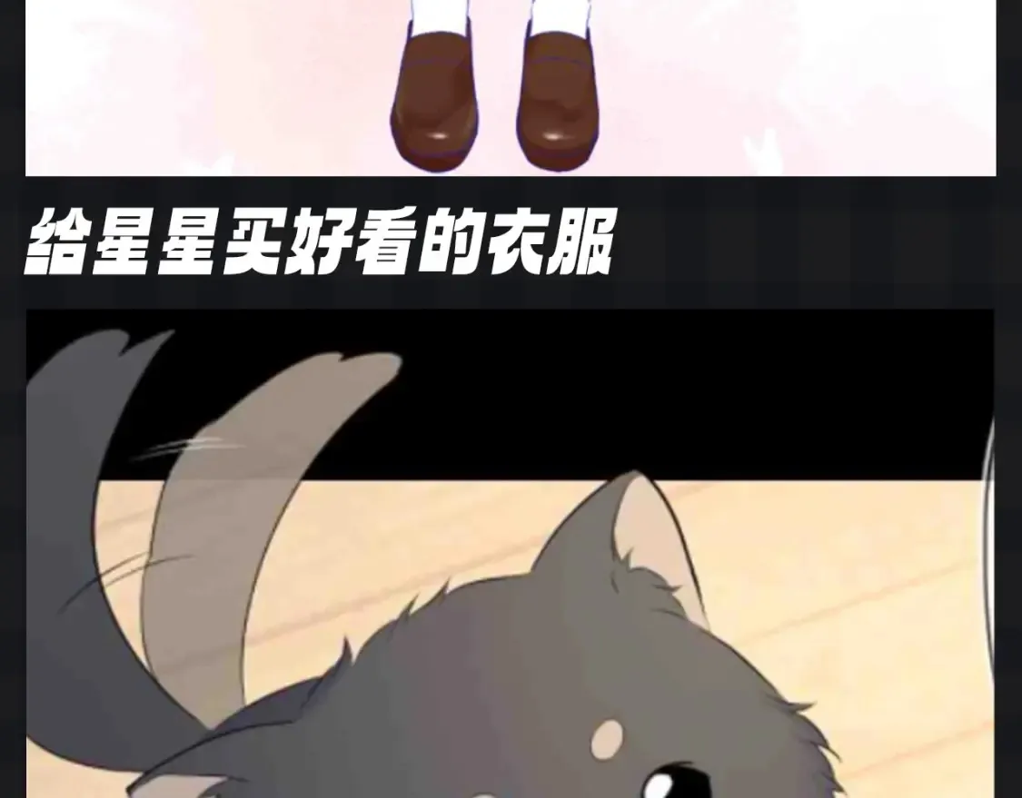 第142期 搞点事：来看看司南购物车里的东西吧6