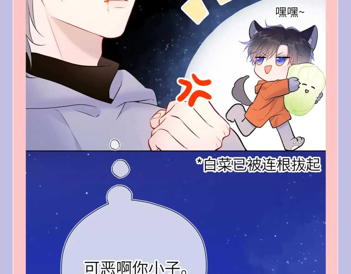 第128期 特别企划：星星和司南在一起后，深深受伤的男人们10