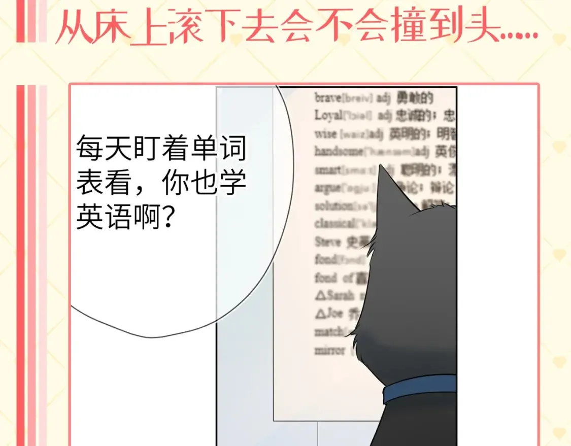 第40期 特别企划：猫猫仙贝的悠闲生活3