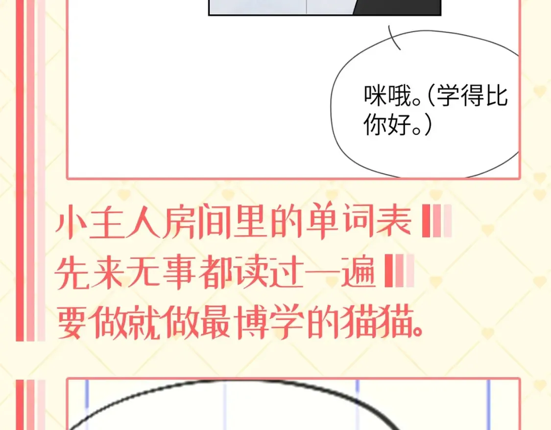 第40期 特别企划：猫猫仙贝的悠闲生活4