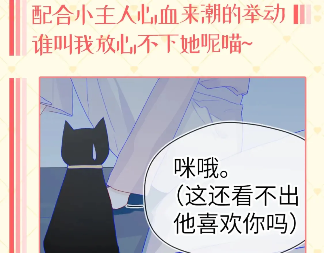 第40期 特别企划：猫猫仙贝的悠闲生活8