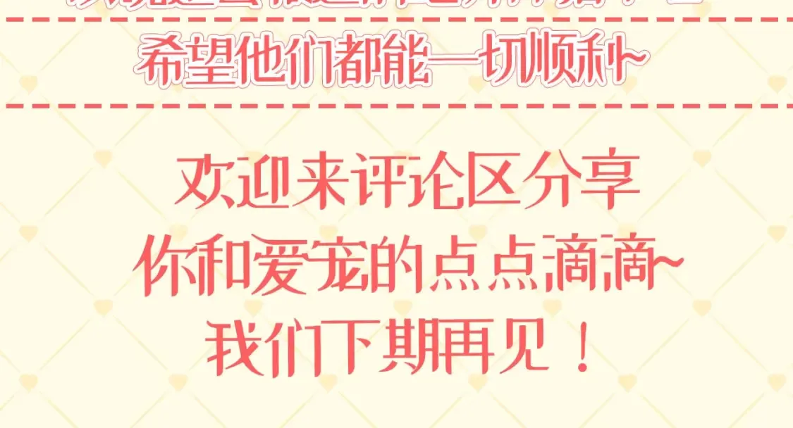 第40期 特别企划：猫猫仙贝的悠闲生活12