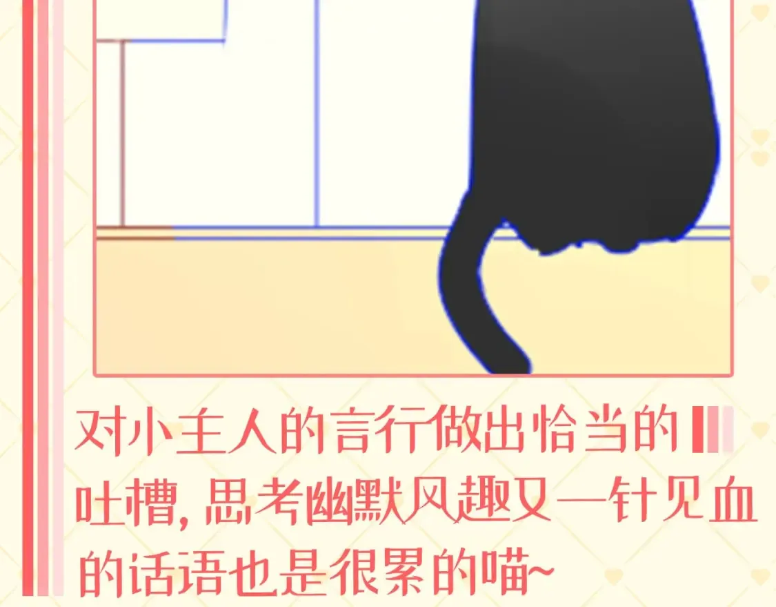 第40期 特别企划：猫猫仙贝的悠闲生活6