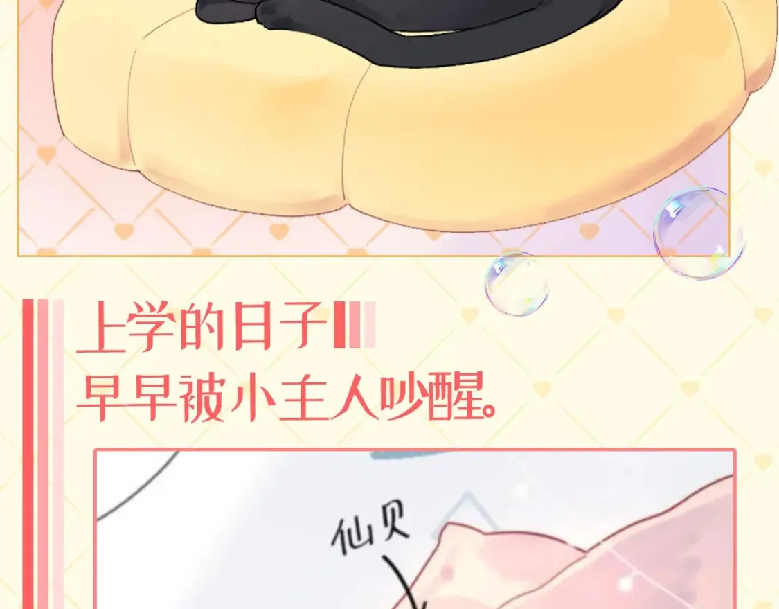 第39期 整活企划：星星表情包20