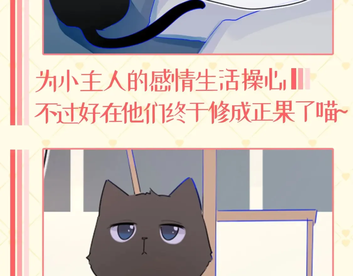 第40期 特别企划：猫猫仙贝的悠闲生活9