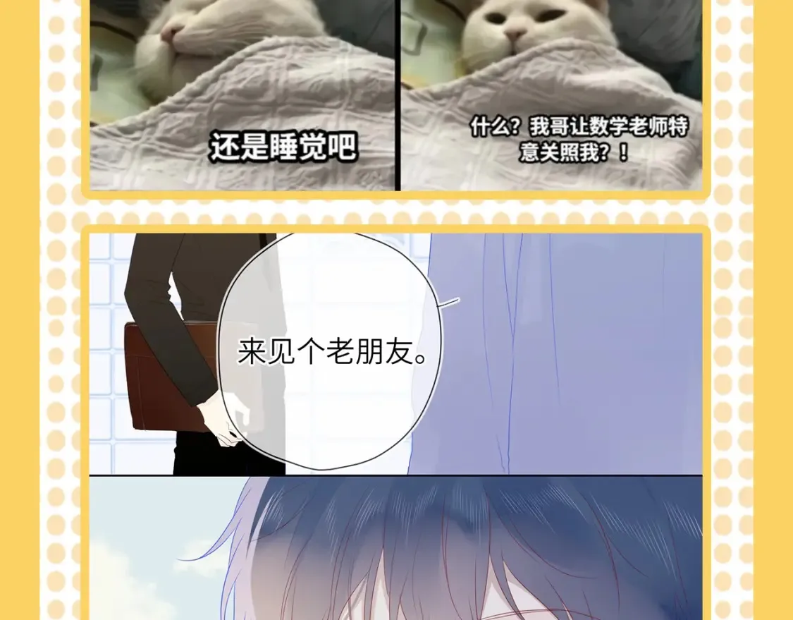 第38期 特别企划：一波梗图来袭！9
