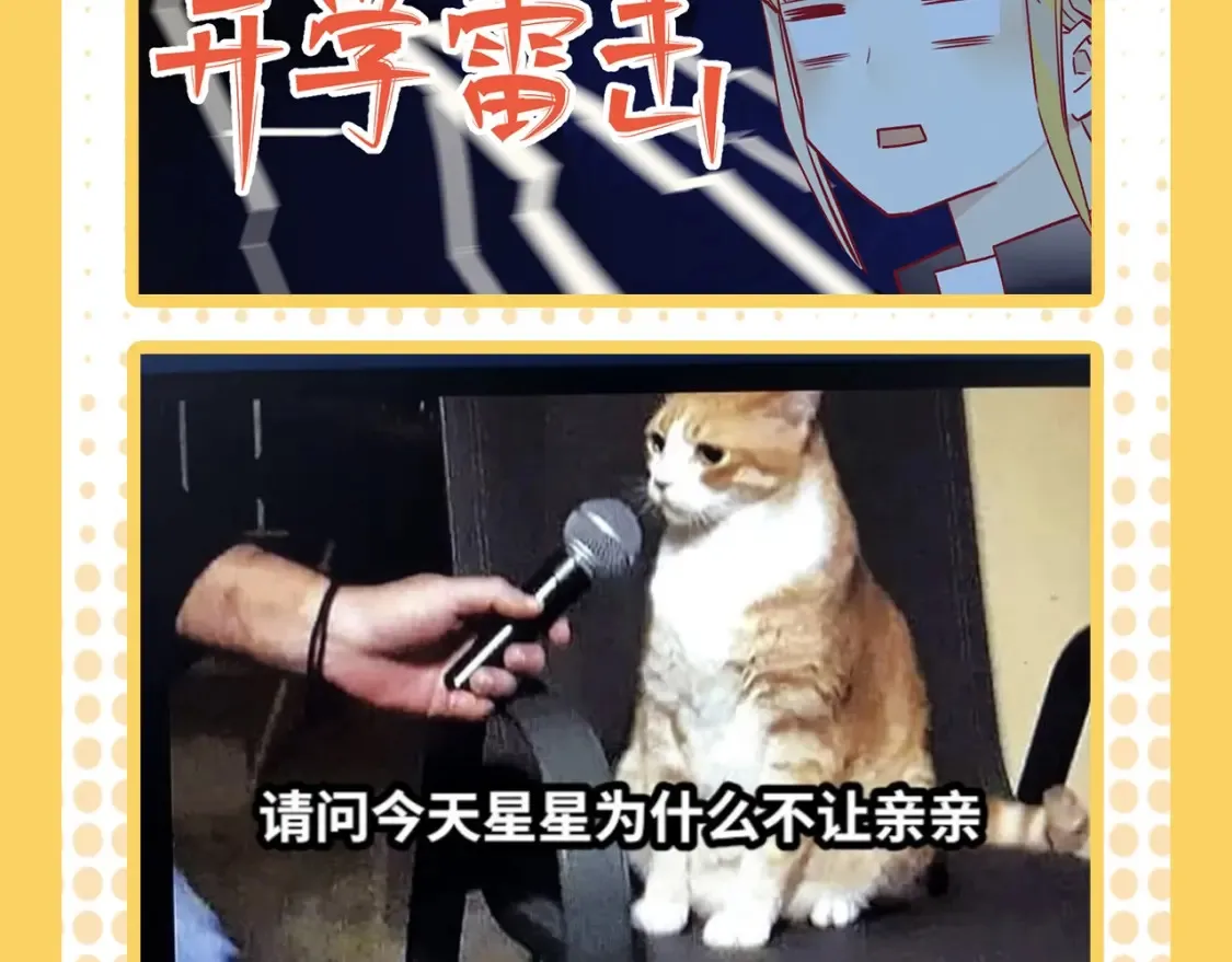 第38期 特别企划：一波梗图来袭！11