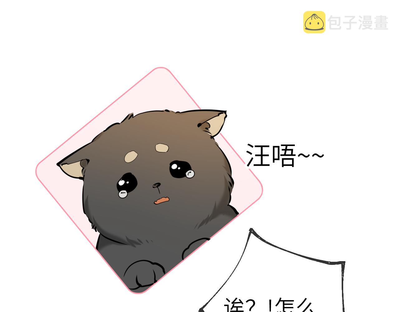 第78话 新家，美少女与狗58