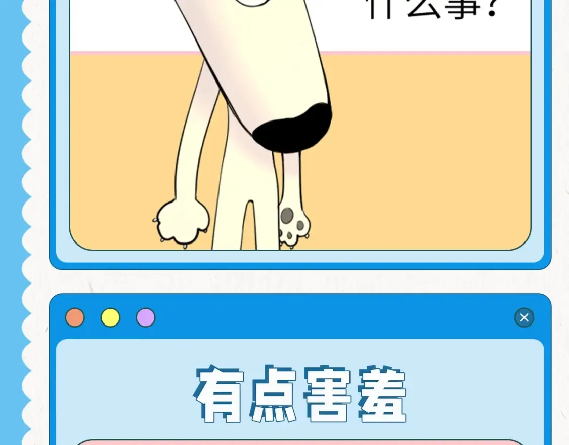 第39期 整活企划：星星表情包3