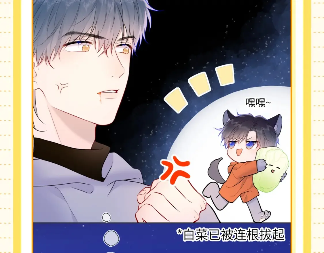 第51期 整点活：沐子俞：守护我的白菜7