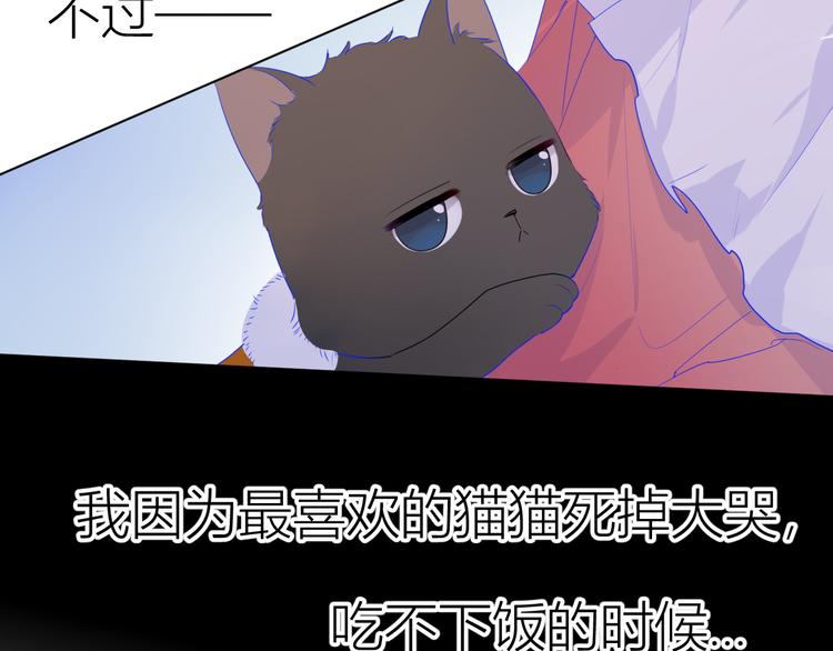 第27话 新年与回忆40