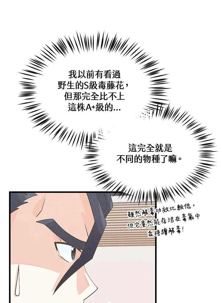 第41话13