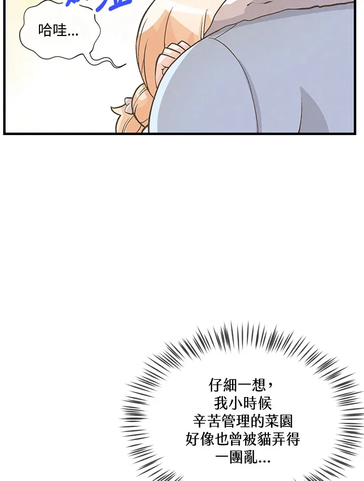 第11话17