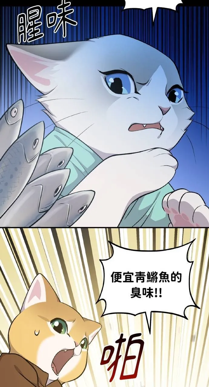 第11话 猫咪流浪商人泰奥67