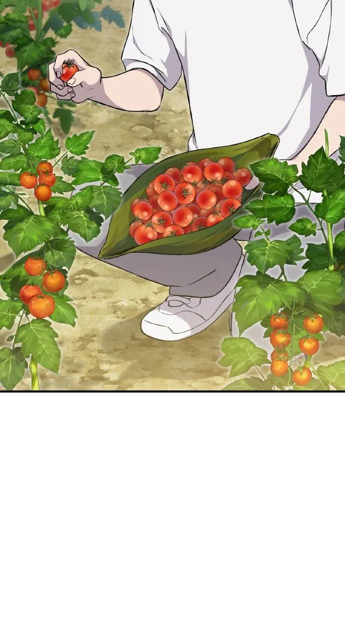 第8话 种子商店27