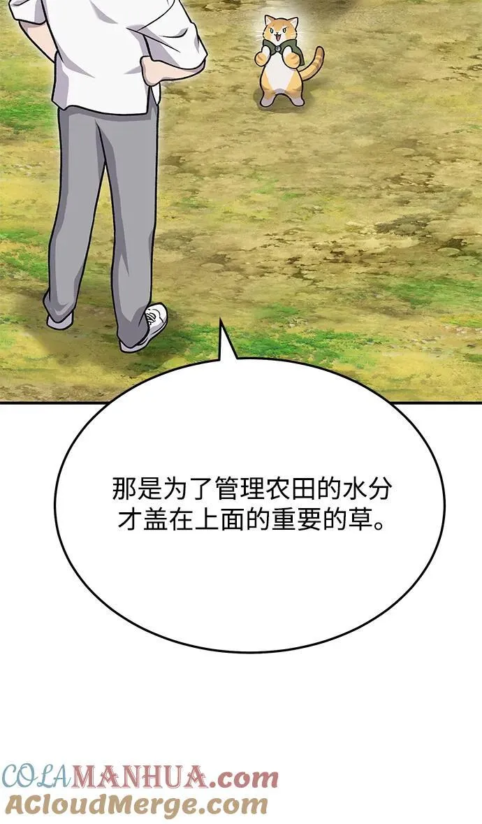 [第39话] 抓贼的猫咪100
