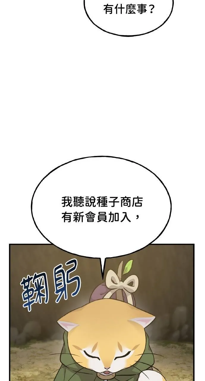 第11话 猫咪流浪商人泰奥9