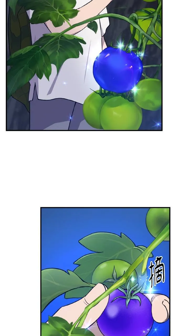 第7话 蓝月地瓜66