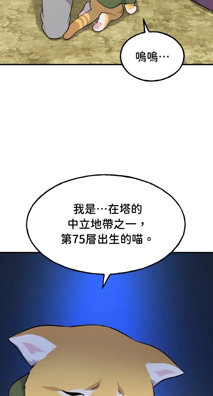 第11话 猫咪流浪商人泰奥62