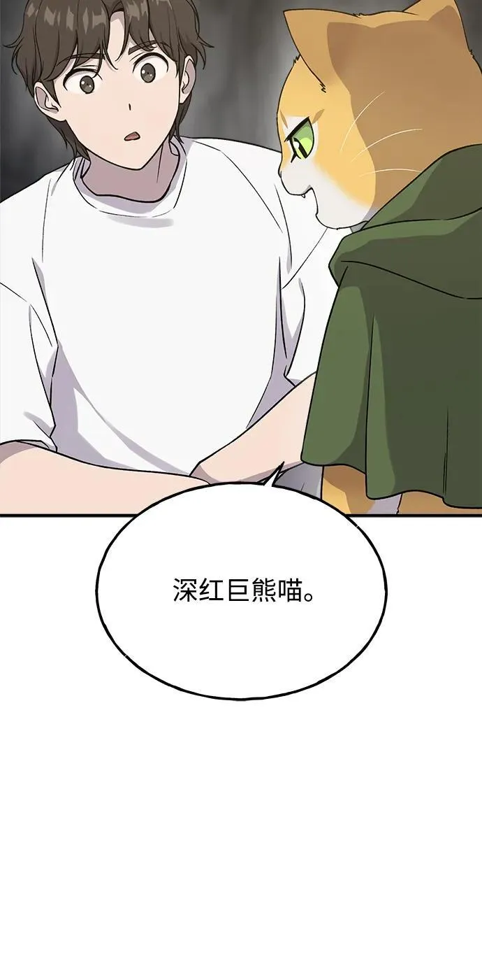 [第17话] 开始拍卖了喵！5