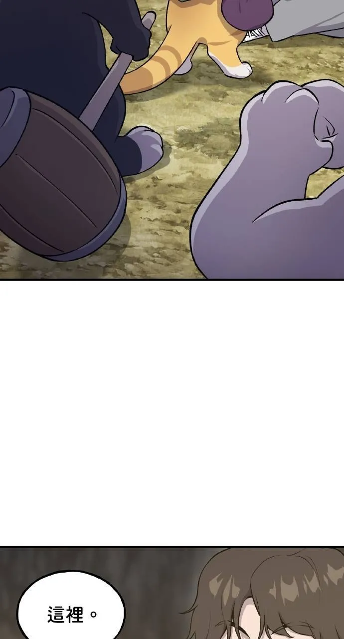 第11话 猫咪流浪商人泰奥34