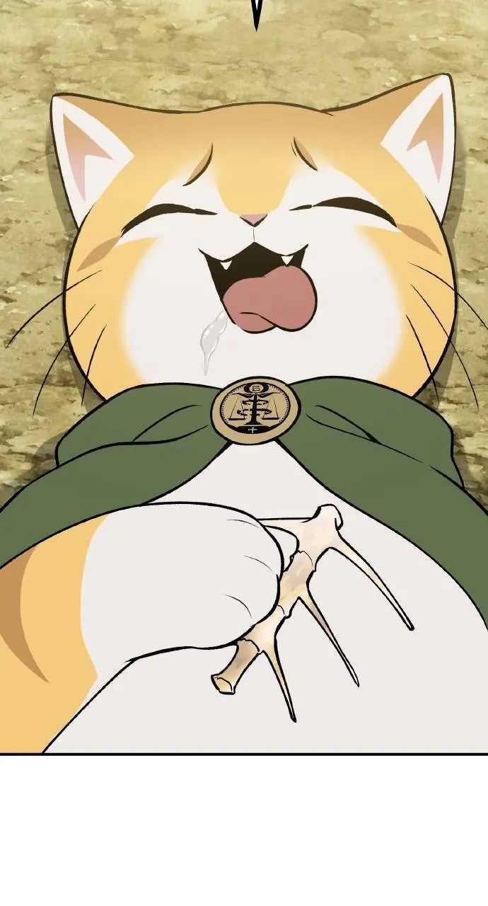 第11话 猫咪流浪商人泰奥26
