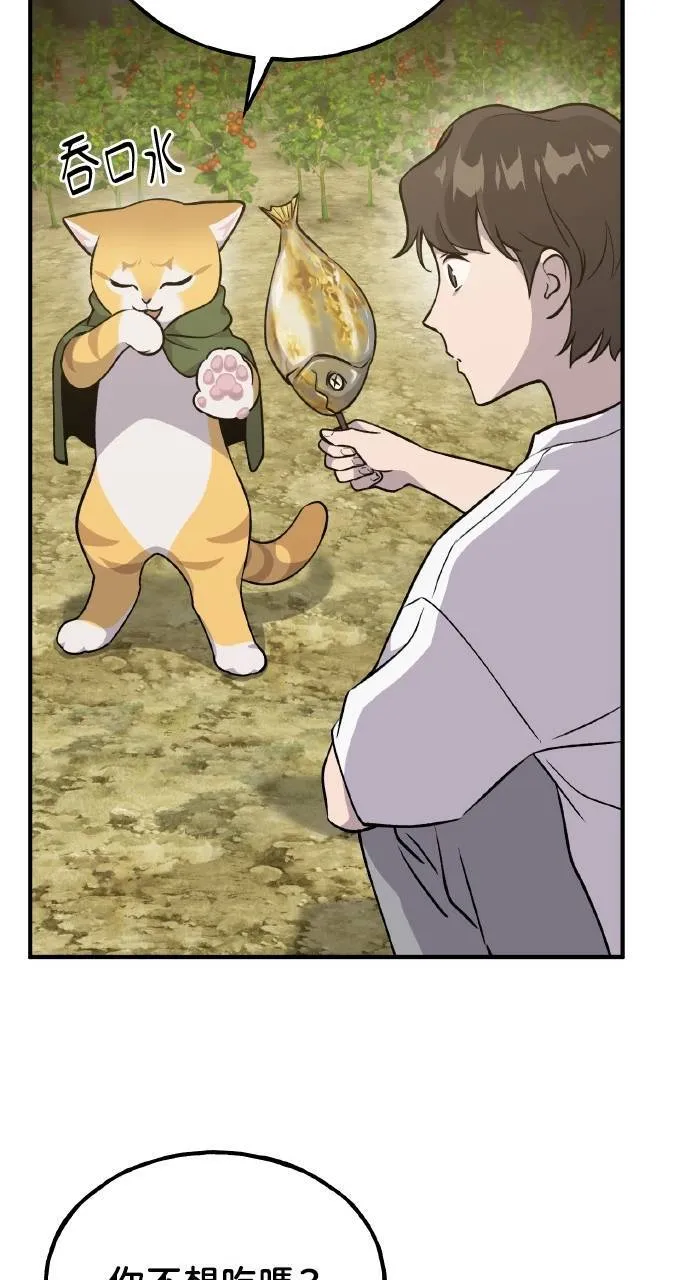 第11话 猫咪流浪商人泰奥21
