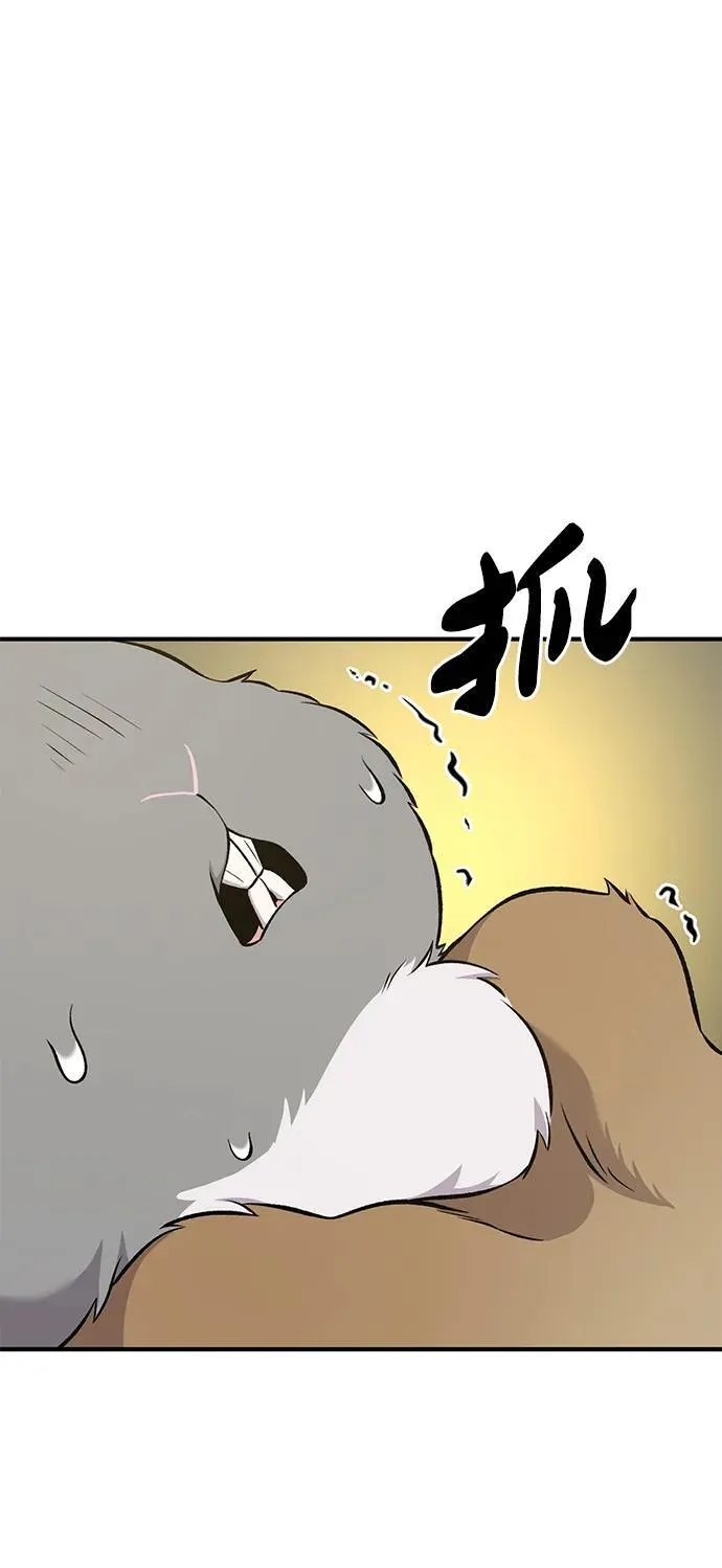 [第56话] 灰兔50