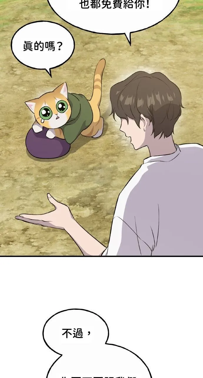 第11话 猫咪流浪商人泰奥113