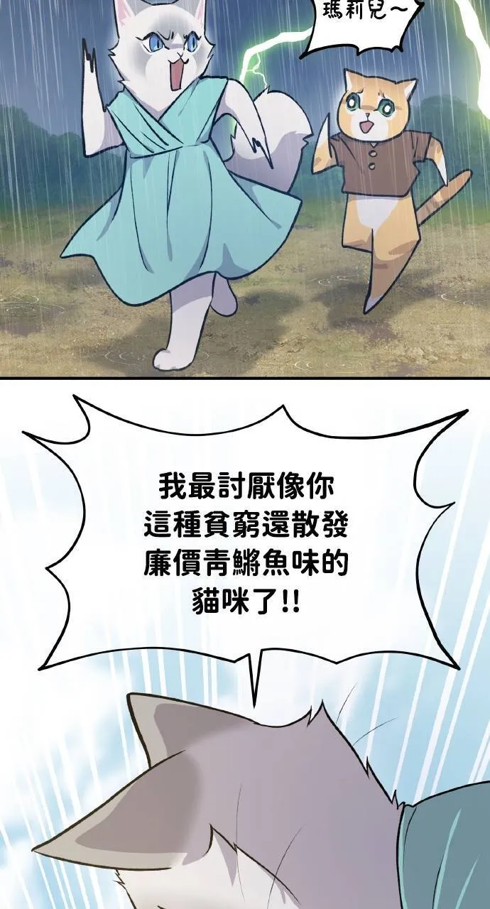 第11话 猫咪流浪商人泰奥88