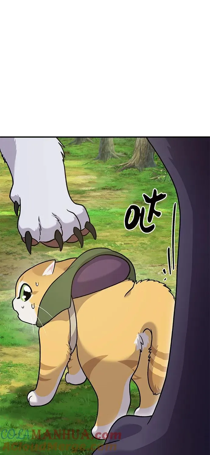 [第36话] 喵嗝！喵嗝！28